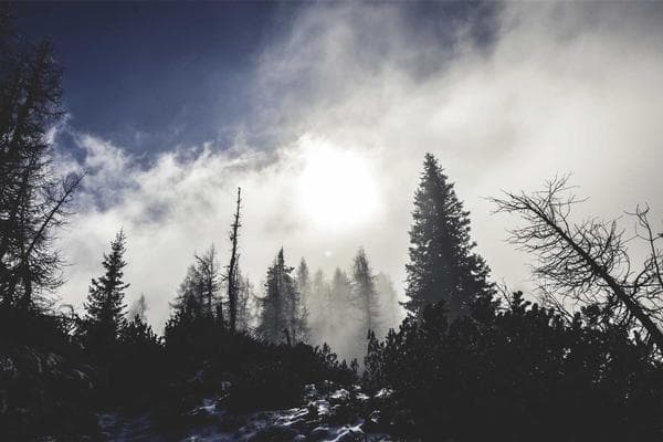 A Kantian Framework for AI Ethics